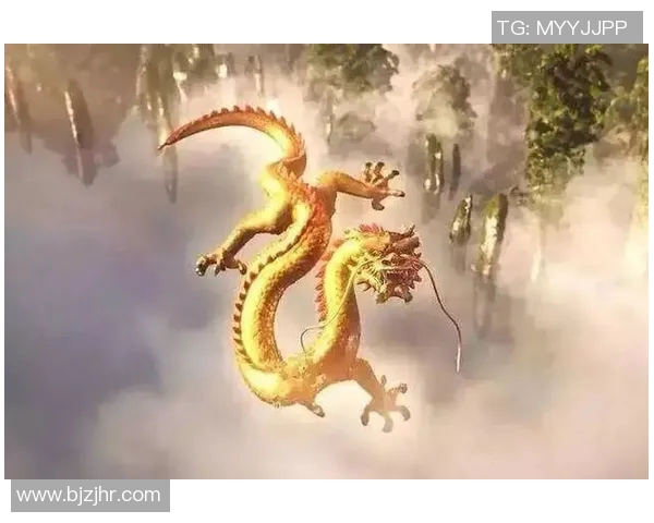 费德南的传奇人生与不屈精神探秘之旅